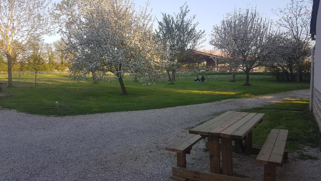 Ferme Passion Bed & Breakfast Saint-Trivier-sur-Moignans Exterior photo
